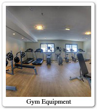 Gym Equipment