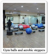 Gym balls and aerobic steppers