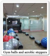Gym balls and aerobic steppers